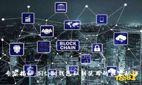 专家揭秘：Bitpie钱包私钥使用的独家秘诀