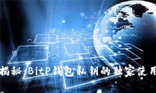 专家揭秘：BitP钱包私钥的独家使用秘诀