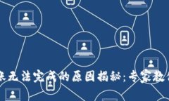 比特派转账无法完成的原因揭秘：专家教你如何