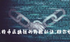 专家独家揭秘：比特币区块链的终极秘诀，助你