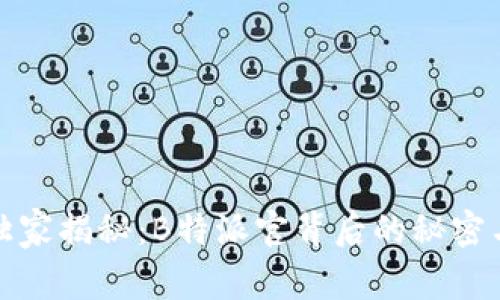 《专家独家揭秘：B特派官背后的秘密与技巧》