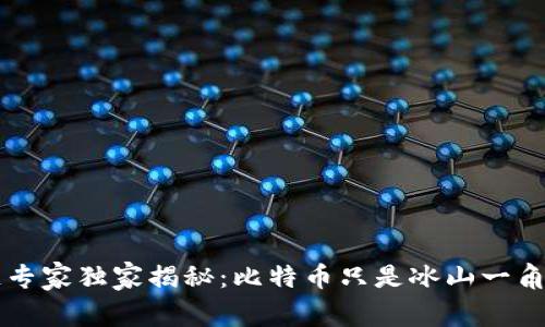 区块链专家独家揭秘：比特币只是冰山一角的秘诀