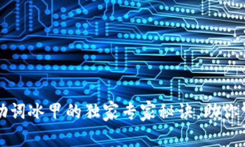 揭秘比特派助词冰甲的独家专家秘诀，助你掌握完美技巧