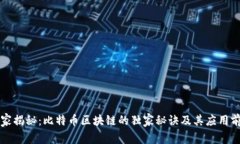 专家揭秘：比特币区块链的独家秘诀及其应用前