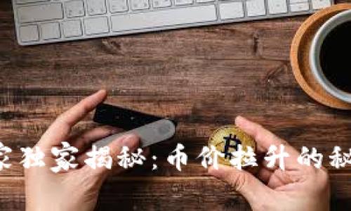 区块链专家独家揭秘：币价拉升的秘诀是什么？