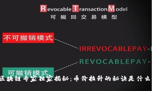 区块链专家独家揭秘：币价拉升的秘诀是什么？