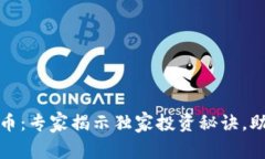 互联网区块链数字币：专家揭示独家投资秘诀，