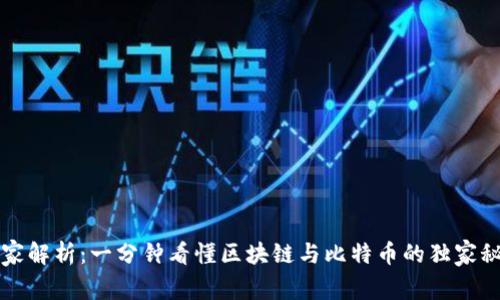 专家解析：一分钟看懂区块链与比特币的独家秘诀