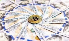 专家揭秘：MNP币的独家投资秘诀，你不能错过！