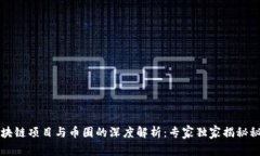 区块链项目与币圈的深度解析：专家独家揭秘秘