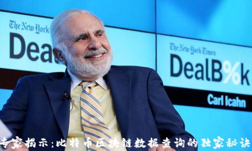 
专家揭示：比特币区块链数据查询的独家秘诀！