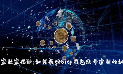 专家独家揭秘：如何找回Bitp钱包账号密钥的秘密