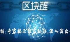 比特币与区块链：专家揭示独家秘诀，深入浅出
