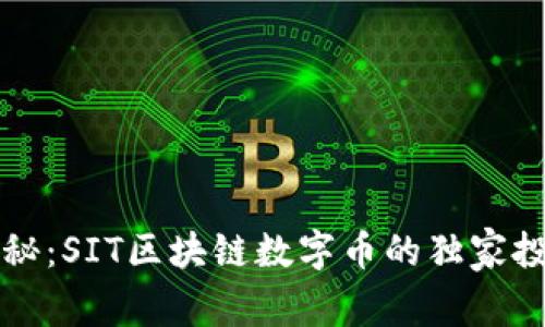 专家揭秘：SIT区块链数字币的独家投资秘诀