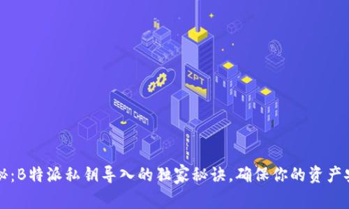 专家揭秘：B特派私钥导入的独家秘诀，确保你的资产安全无忧