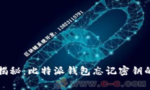 专家独家揭秘：比特派钱包忘记密钥的解决秘诀