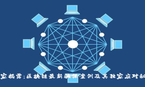 专家揭露：区块链最新骗保案例及其独家应对秘诀