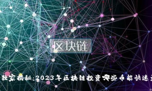 专家独家揭秘：2023年区块链投资哪些币能快速盈利？