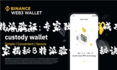 揭秘B特派验证：专家独家分享成功秘诀！专家独
