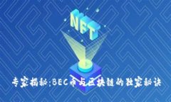 专家揭秘：BEC币与区块链的独家秘诀