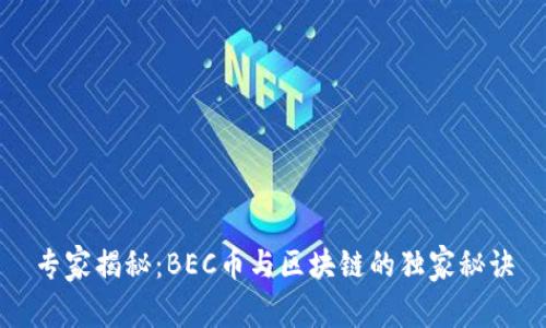 专家揭秘：BEC币与区块链的独家秘诀