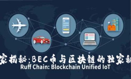 专家揭秘：BEC币与区块链的独家秘诀