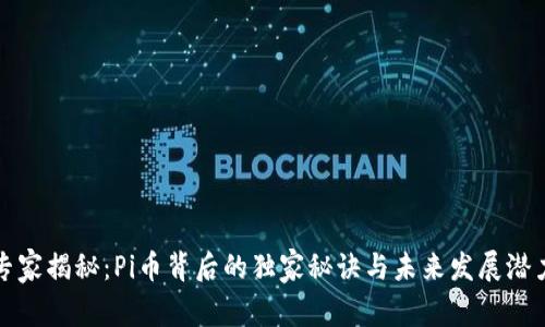 《专家揭秘：Pi币背后的独家秘诀与未来发展潜力》