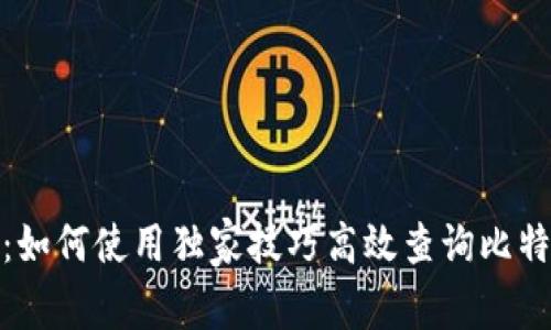 专家揭秘：如何使用独家技巧高效查询比特币区块链