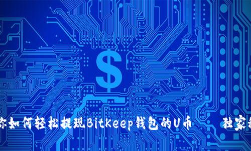 专家教你如何轻松提现BitKeep钱包的U币——独家秘诀分享