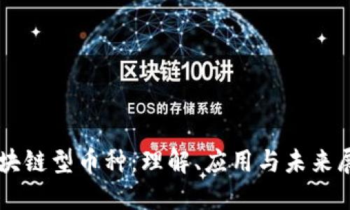 区块链型币种：理解、应用与未来展望