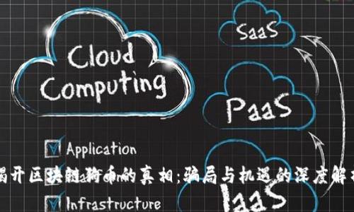 揭开区块链狗币的真相：骗局与机遇的深度解析