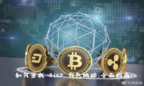 如何查找 BitP 钱包地址：全面指南