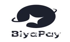 比特派如何高效买入数字资产？详解操作步骤与