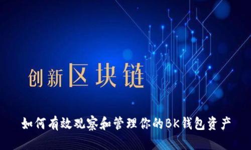 如何有效观察和管理你的BK钱包资产