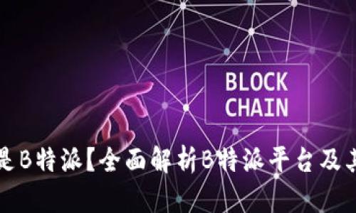 什么是B特派？全面解析B特派平台及其特点