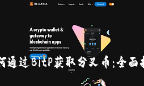 如何通过BitP获取分叉币：全面指南