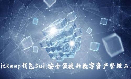 BitKeep钱包Sui：安全便捷的数字资产管理工具