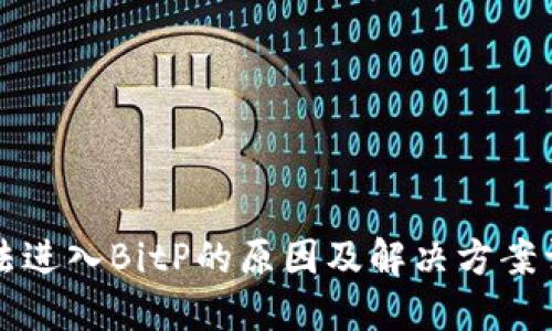 无法进入BitP的原因及解决方案详解