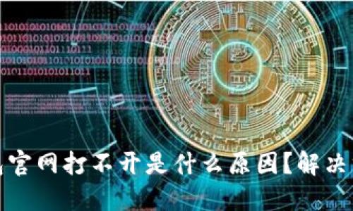 BitP钱包官网打不开是什么原因？解决方案详解