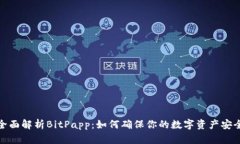 全面解析BitPapp：如何确保你的数字资产安全