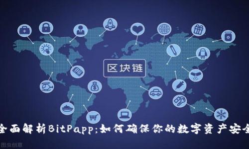 全面解析BitPapp：如何确保你的数字资产安全