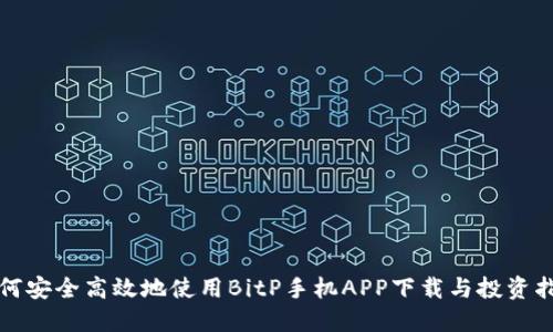 如何安全高效地使用BitP手机APP下载与投资指南