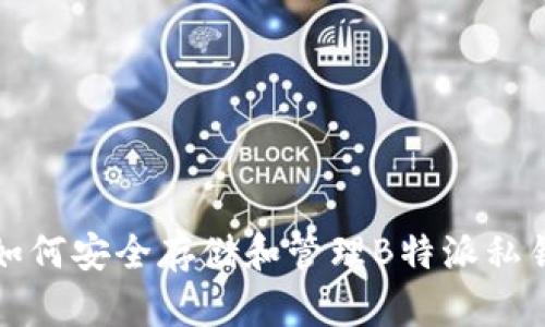 如何安全存储和管理B特派私钥