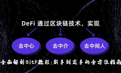 全面解析BitP教程：新手到高手的全方位指南