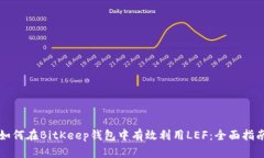 如何在BitKeep钱包中有效利用LEF：全面指南