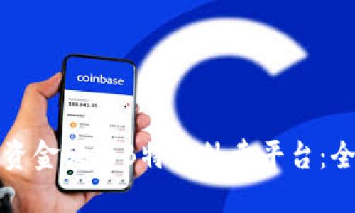 如何将资金转入B特派外卖平台：全面指南