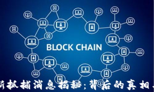 
区块链最新抓捕消息揭秘：背后的真相与影响分析