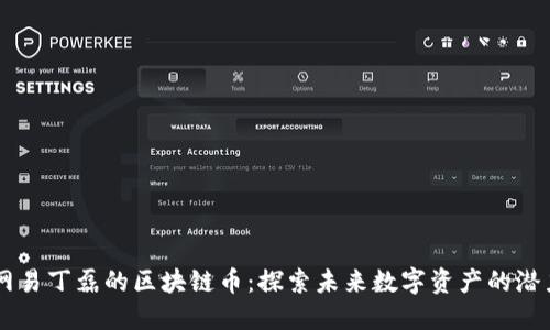 网易丁磊的区块链币：探索未来数字资产的潜力