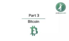 深入解析B特派源码：优质代码与开发实践的结合