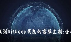如何找到BitKeep钱包的客服支持：全面指南